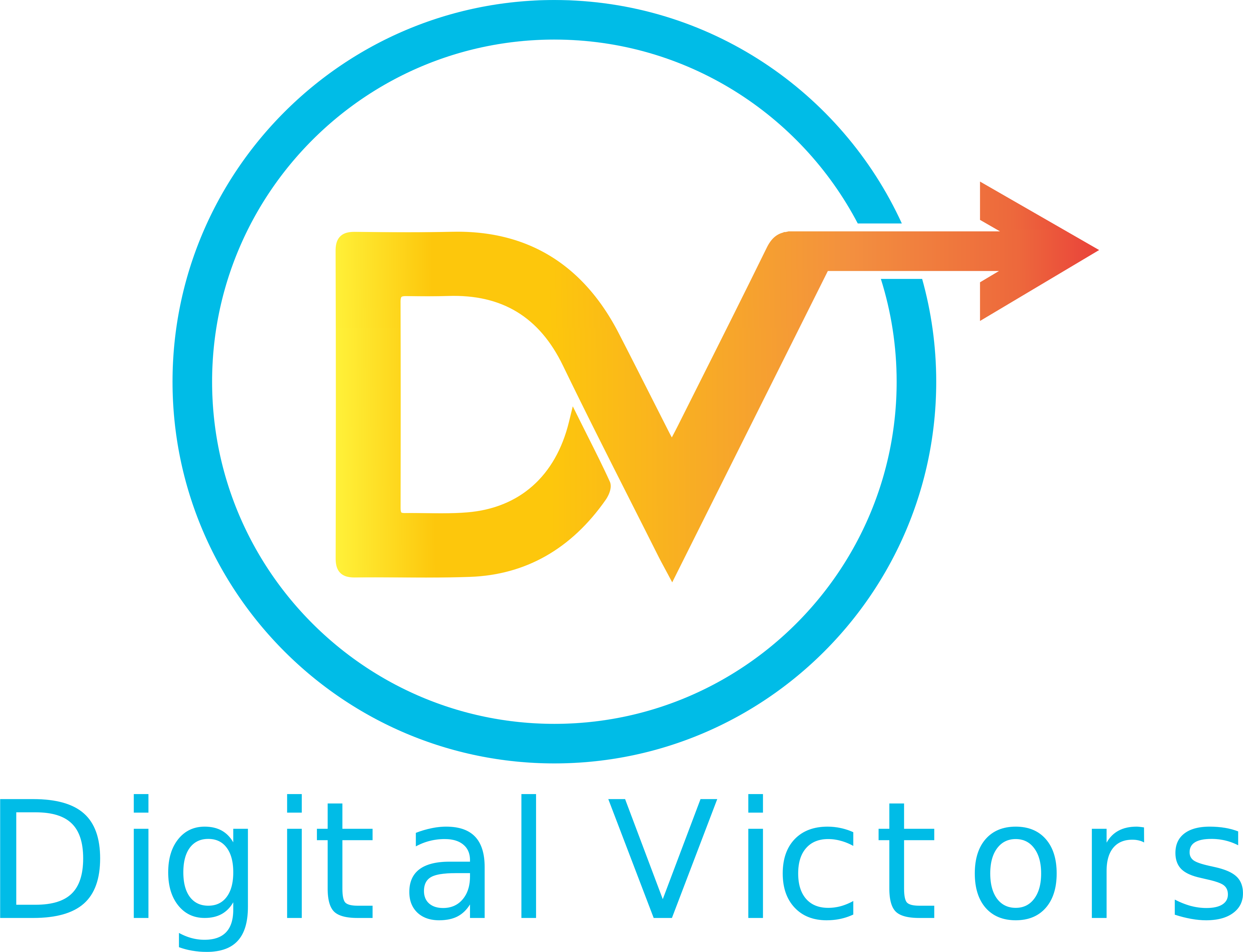 Digital Victors Logo